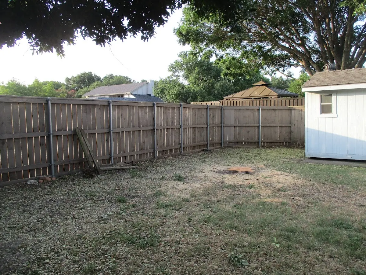 Cleared yard after professional tree removal in Pike Road